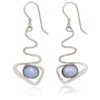 Silver Forest Blue Stone And Silver-Tone Metal Drop Earrings